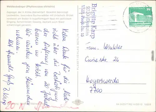 Ansichtskarte  Tiere - Vögel - Waldlaubsänger (Phylloscopus sibilatrix) 1982