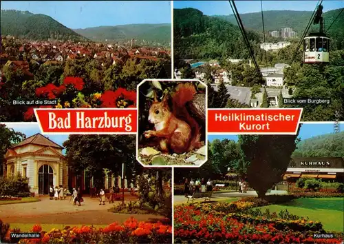 Ansichtskarte Bad Harzburg Überblick, Seilbahn, Wandelhalle, Kurhaus 1988