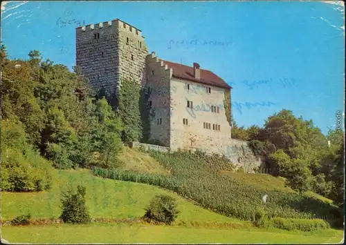 Ansichtskarte Habsburg-Brugg Habsburg (Burg) 1973