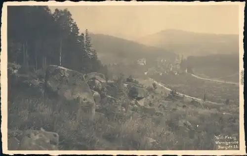 Ansichtskarte Wernigerode Panorama-Ansicht 1928