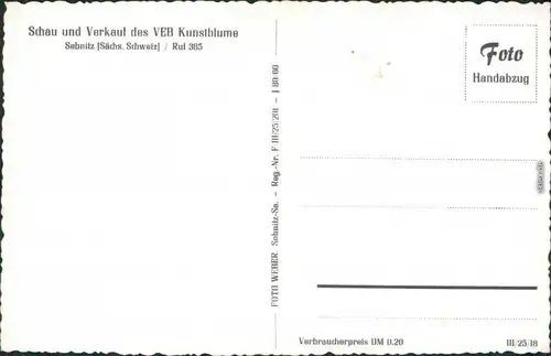 Ansichtskarte Sebnitz Schau und Verkauf des VEB KUnstblume 1960 