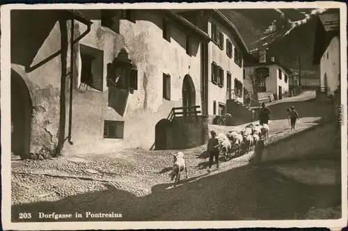Ansichtskarte Pontresina Dorfgasse - Schafsherde 1932 