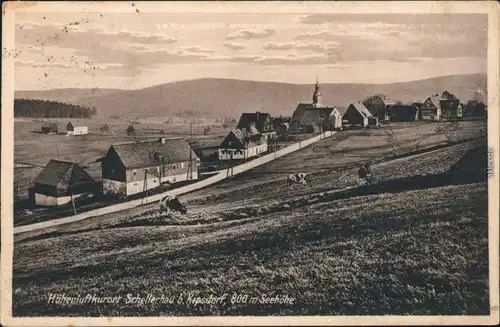 Ansichtskarte Schellerhau-Altenberg (Erzgebirge) Panorama-Ansicht 1927