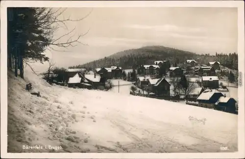 Ansichtskarte Bärenfels-Altenberg (Erzgebirge) Panorama-Ansicht 1929