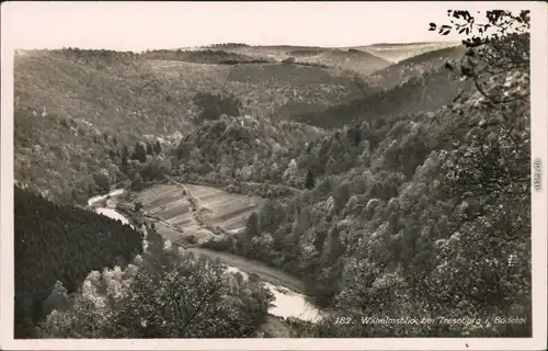 Ansichtskarte Treseburg Panorama-Ansicht - Wilhelmsblick 1933
