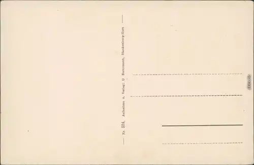 Ansichtskarte Rübeland Hermannshöhle - Blaue Grotte 1932