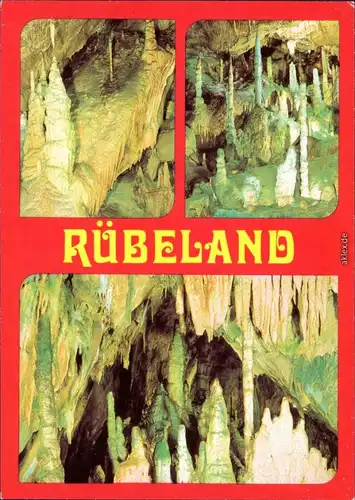 Ansichtskarte Rübeland Baumannshöhle - Lebensbaum, Säulenhalle, Palme 1981