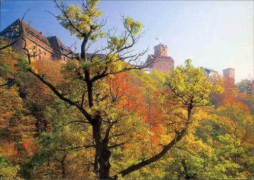 Ansichtskarte Eisenach Blick durch die Bäume auf die Wartburg 2000