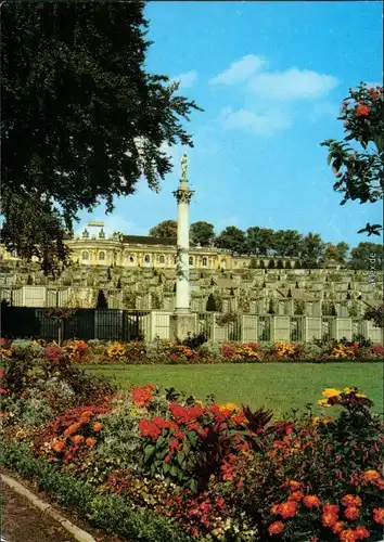 Ansichtskarte Potsdam Schloss Sanssouci: Sommerbepflanzung im Parterre 1989