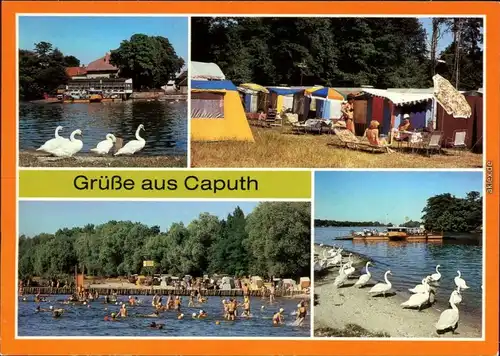 Caputh-Schwielowsee Gaststätte "Fährhaus", Campingplatz, Strandbad, Fähre 1986