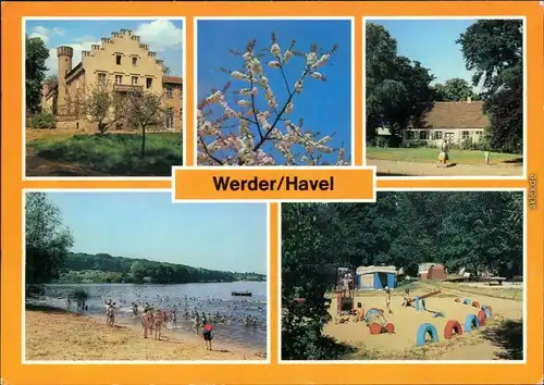 Werder (Havel) Baumblüte, Obstbaumuseum,  Pionierlagers  Campingplatz 1986