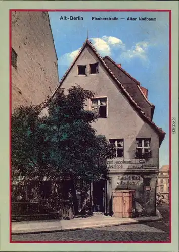 Berlin Märkisches Museum: Alt - Berlin - Fischerstraße, alter Nussbaum 1987