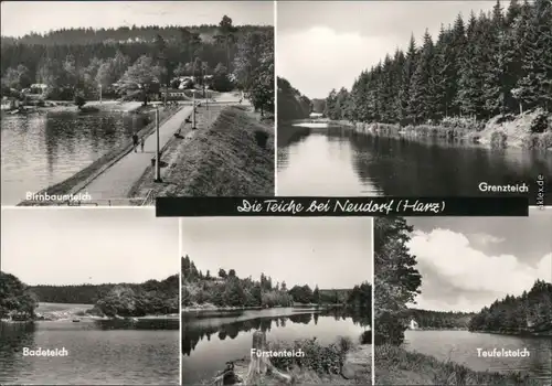 Neudorf (Erzgebirge) Birnbaumteich, Grenzteich, Badeteich, Fürstenteich,  1973