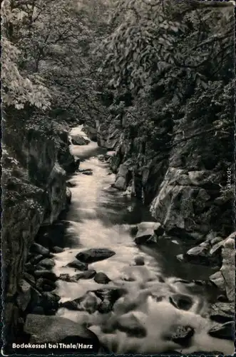 Ansichtskarte Thale (Harz) Partie im Bodekessel 1963 