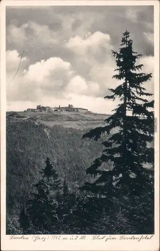 Ansichtskarte Ilsenburg (Harz) Blick auf den Brocken 1929 