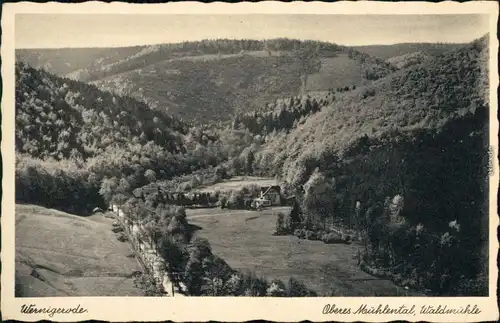 Wernigerode Panorama-Ansicht - Oberes Mühlental - Waldmühle 1936