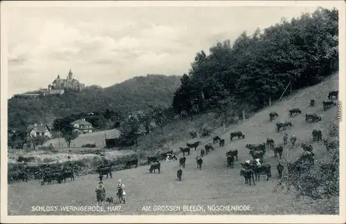 Ansichtskarte Wernigerode Am großen Bleeck - Nöschenrode - Herde 1936 