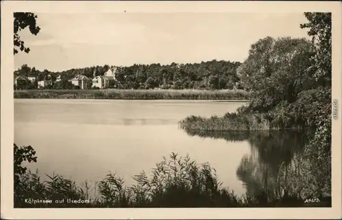 Ansichtskarte Kölpinsee (Usedom)-Loddin Blick auf die Stadt 1953 