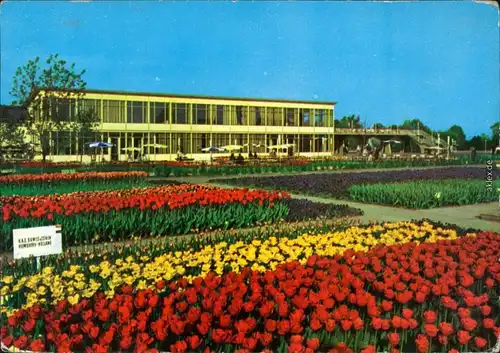 Ansichtskarte Erfurt Internationale Gartenbauausstellung der DDR (IGA) 1972
