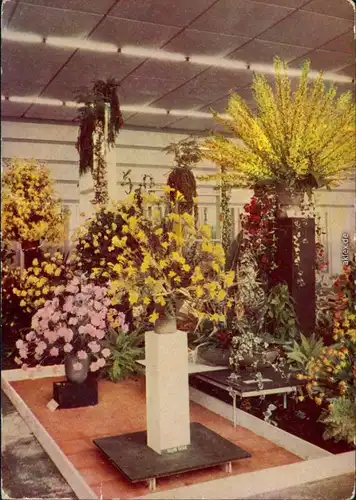 Ansichtskarte Erfurt Internationale Gartenbauausstellung der DDR (IGA) 1966