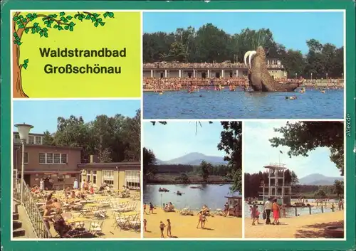 Großschönau (Sachsen) Waldstrandbad  Bad mit Schimmbecken  g1988