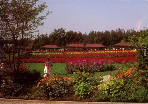 Ansichtskarte Walsrode Vogelpark - Rosenblüte 1997