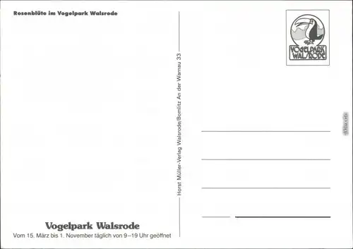 Ansichtskarte Walsrode Vogelpark - Rosenblüte 1997