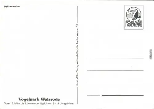 Ansichtskarte Walsrode Vogelpark - Pelikanweiher 1988