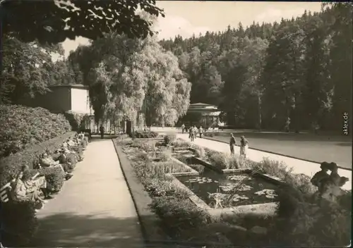 Ansichtskarte Bad Elster Goldfischbassin mit Badecafé 1968