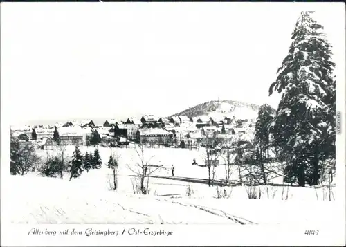 Ansichtskarte Altenberg (Erzgebirge) Panorama-Ansicht im Winter 1981
