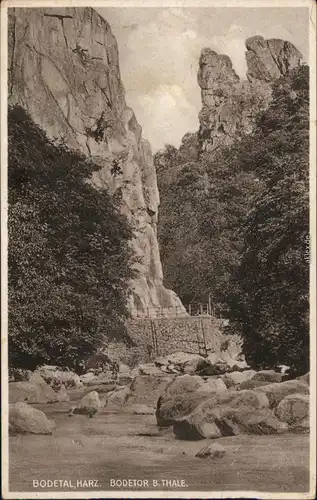 Ansichtskarte Thale (Harz) Bodetor - Bodetal 1918