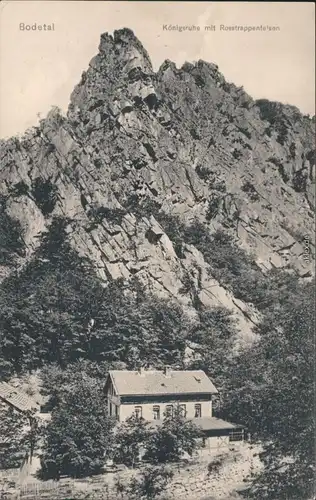 Ansichtskarte Thale (Harz) Königsruhe mit Roßtrappe (Felsen) 1914 
