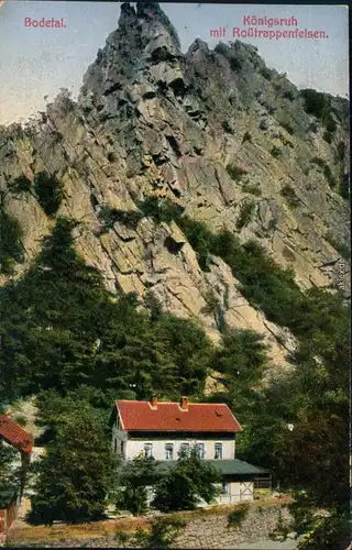Ansichtskarte Thale (Harz) Königsruhe mit Roßtrappe (Felsen) 1913