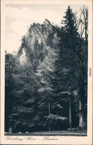 Ansichtskarte Ilsenburg (Harz) Partie am Ilsestein 1928 