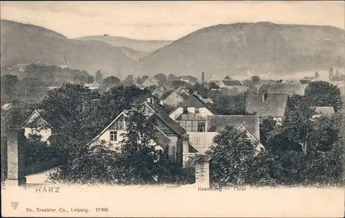 Ansichtskarte Ilsenburg (Harz) Blick über die Stadt - Straßenblick 1909 