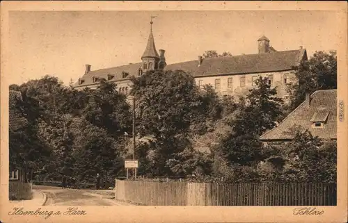 Ansichtskarte Ilsenburg (Harz) Ilsenburg Schloss - Straße 1928 