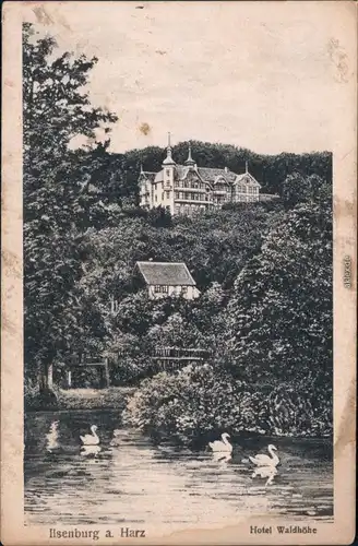 Ansichtskarte Ilsenburg (Harz) Ilsenburg am Harz, Hotel Waldhöhe 1928
