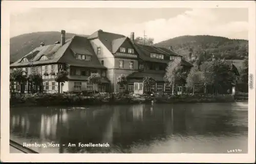 Ansichtskarte Ilsenburg (Harz) Forellenteich 1956