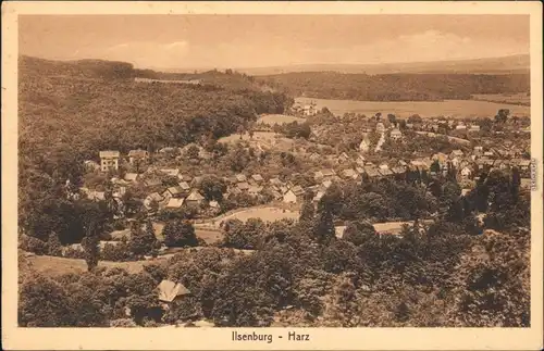 Ansichtskarte Ilsenburg (Harz) Panorama-Ansichten 1918