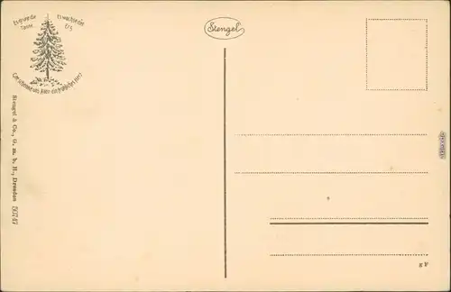 Ansichtskarte Ilsenburg (Harz) Panorama-Ansichten 1918