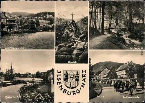 Ilsenburg (Harz) Forellenteich, Ilsestein, Ilsetal, Park, Buchbergstraße 1956