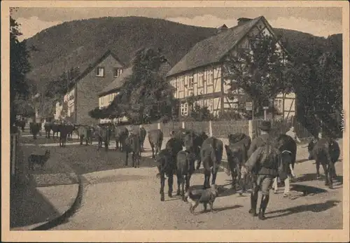 Ansichtskarte Ilsenburg (Harz) Buchbergstraße mit Kuhherde 1928