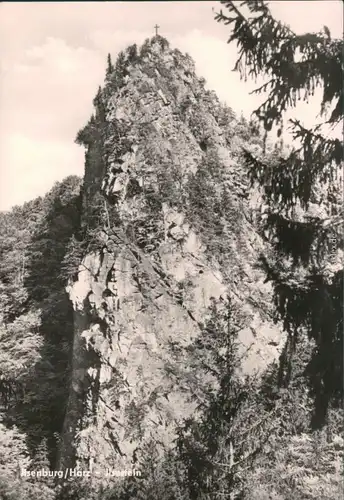 Ansichtskarte Ilsenburg (Harz) Ilsestein / Ilsenstein 1975