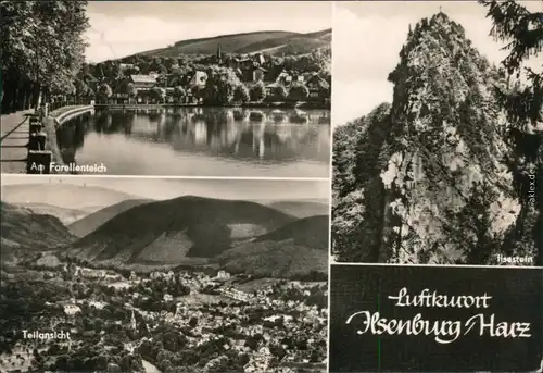 Ansichtskarte Ilsenburg (Harz) Forellenteich, Teilansicht, Ilsestein 1973