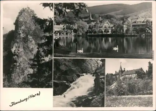 Ansichtskarte Ilsenburg (Harz) Ilsestein, Forellenteich, Bach, Schloss 1950