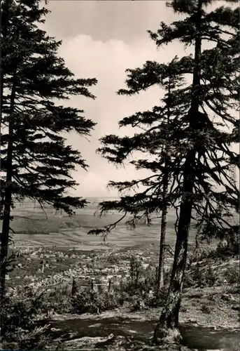 Ansichtskarte Ilsenburg (Harz) Panorama-Ansicht 1969 