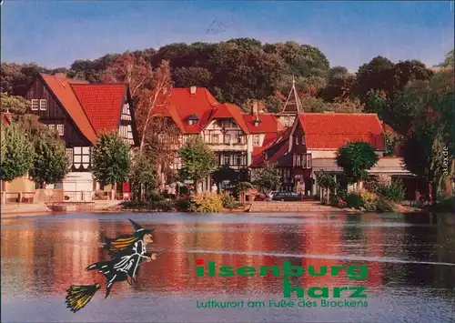 Ansichtskarte Ilsenburg (Harz) Forellenteich 1996