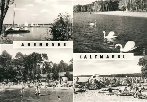 Arendsee (Altmark) Segelboote, Schwäne, Strand mit vielen Badegästen 1977