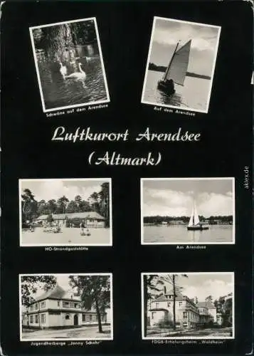 Arendsee (Altmark) Schwäne Segelboot Jugendherberge Jonny Schehr Waldheim 1965