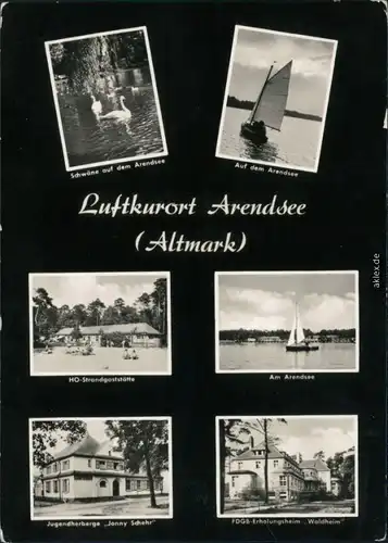 Arendsee (Uckermark)-Nordwestuckermark Schwäne, Segelboot,  1965